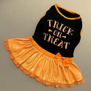 Martha Stewart Pets 🎃 Trick or Treat Dress sz Large